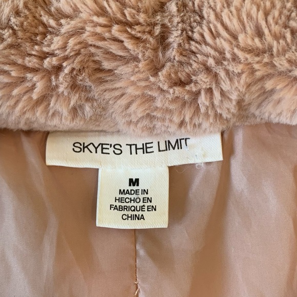 Skye’s The Limit Teddy Faux Fur Blush Jacket - Picture 6 of 7